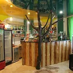 Zustrizh U Leva Guest house