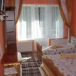 Zustrizh U Leva Guest house