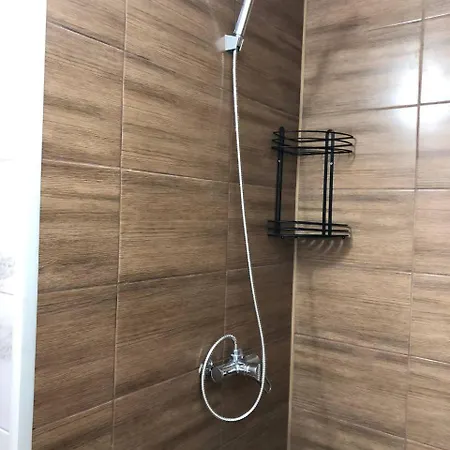 Zustrizh U Leva Guest house