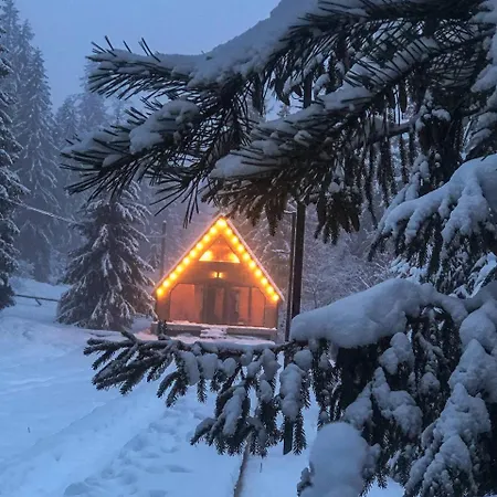 Zustrizh U Leva Pilipets