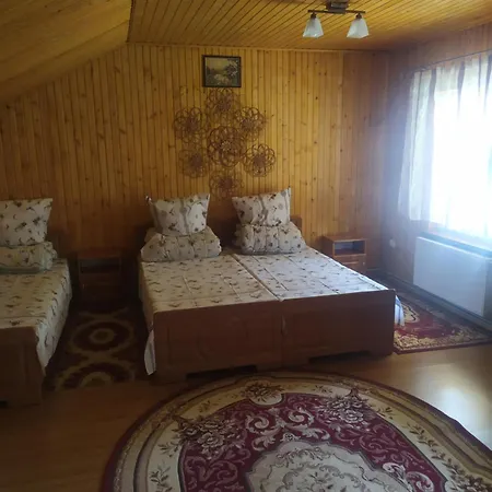 Zustrizh U Leva 3* Pilipets