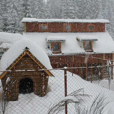 Guest house Zustrizh U Leva 3*