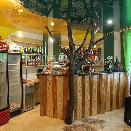 Zustrizh U Leva Guest house