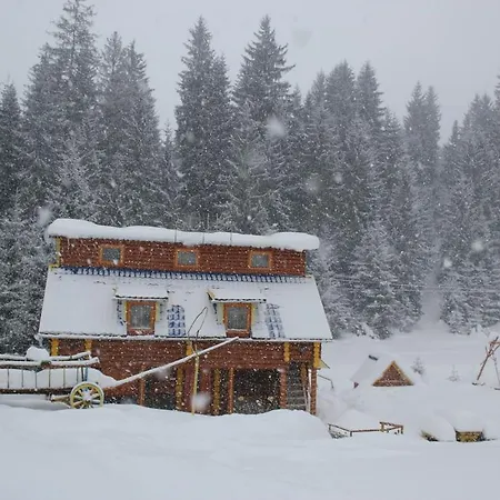 Guest house Zustrizh U Leva 3*