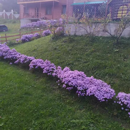 Guest house Zustrizh U Leva 3*